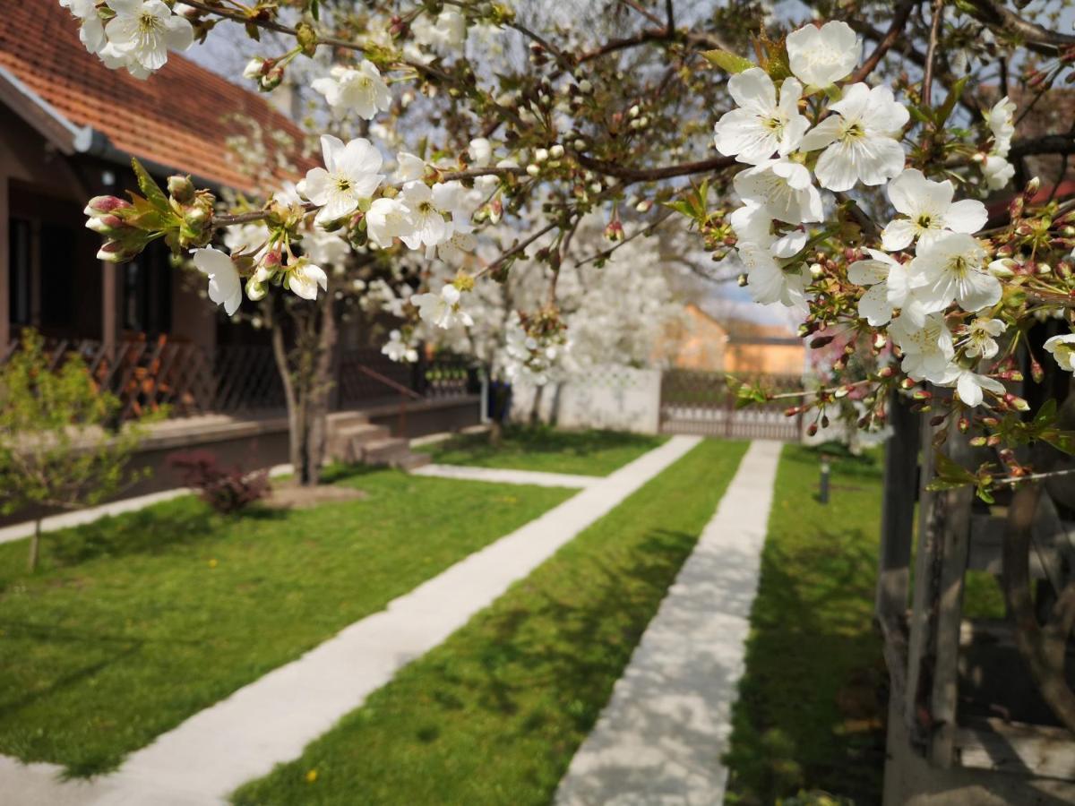 Turul -Kuca Za Odmor- Apartamento Korod Exterior foto