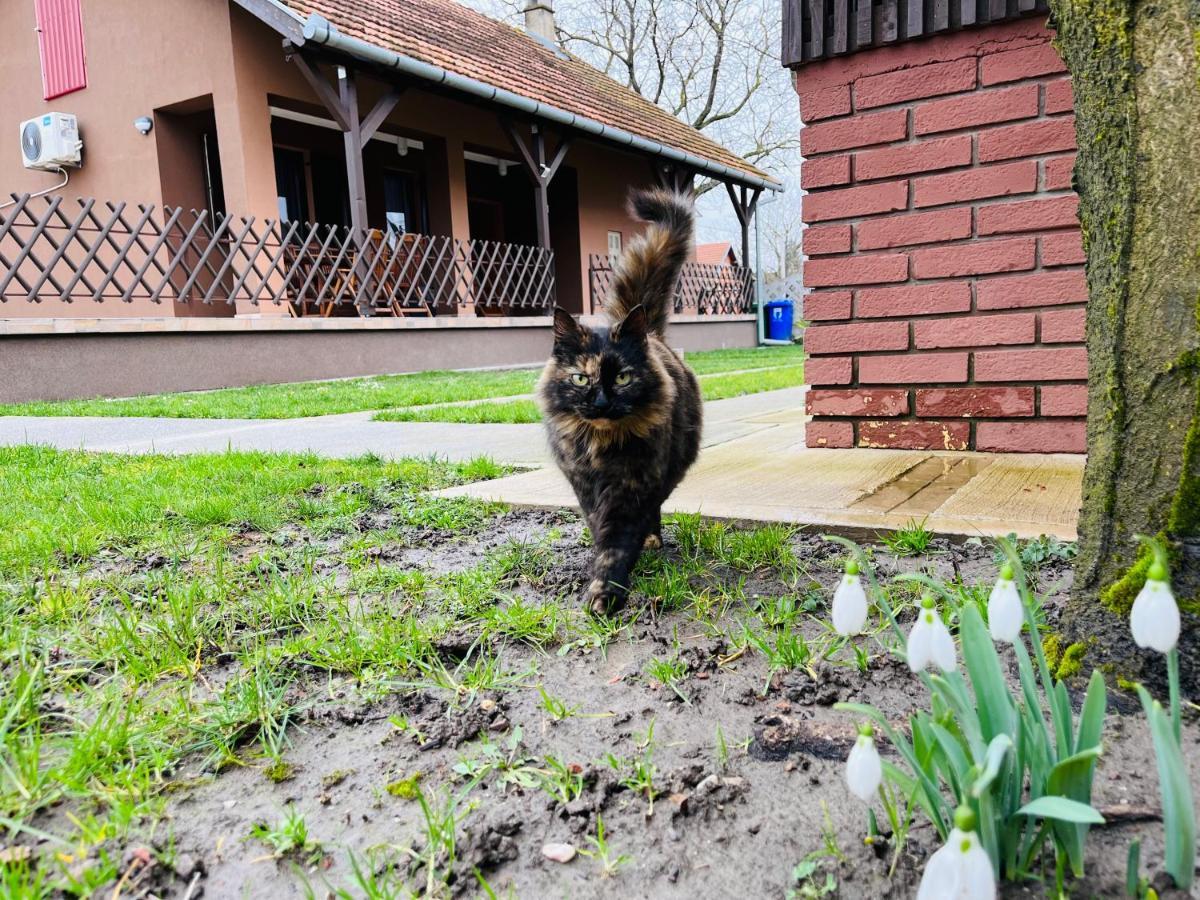 Turul -Kuca Za Odmor- Apartamento Korod Exterior foto