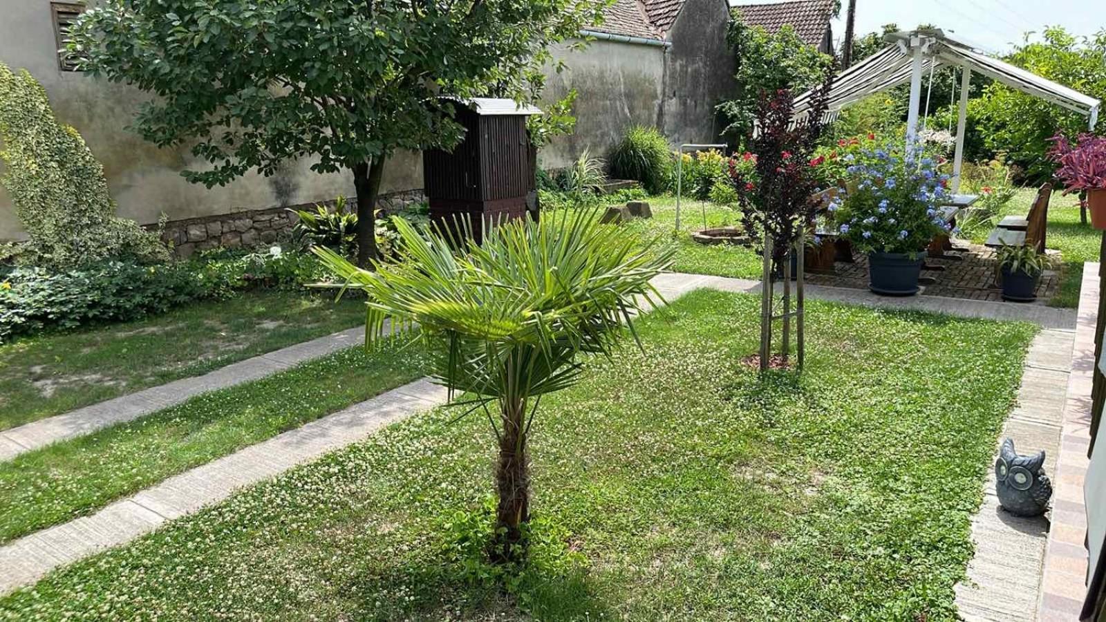 Turul -Kuca Za Odmor- Apartamento Korod Exterior foto